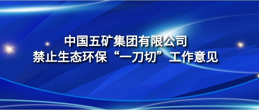 《中國(guó)五礦集團(tuán)有限公司禁止生態(tài)環(huán)保“一刀切”工作意見(jiàn)》
